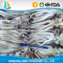 Seafood Frozen Squid Scientific Name Illex Argentinus Squid